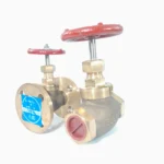 Bronze IBR Certified Globe Steam Stop Valve