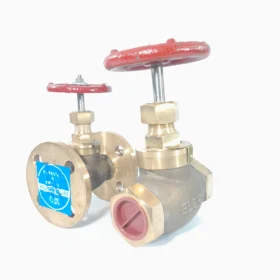 Bronze-ibr-globe-valve-screwed-and-flange-end