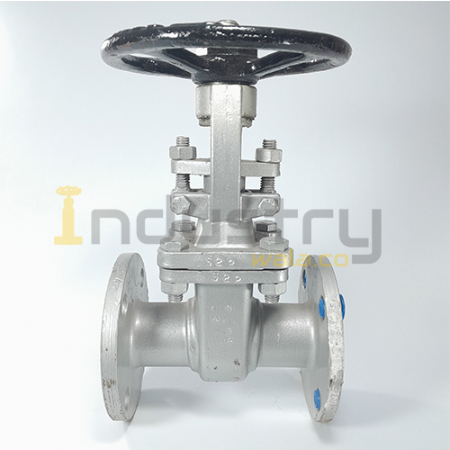 gate valve