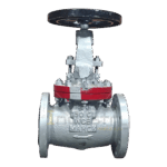 Cast Steel (WCB) Globe Valve Class 150#