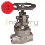 Forged Steel F-304 IBR Certified Gate Valve Class 800#