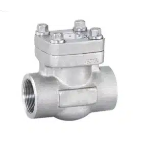 Forged Steel F-304 Check Valve Class 800#