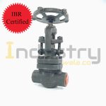 Forged Steel A-105 IBR Certified Globe Valve Class 800#