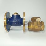 Gun Metal / Brass Horizontal Check Valve ISI Marked Screwed / Flange End