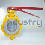 Teflon (FEP / PFA) Lined Butterfly Valve CE Approved
