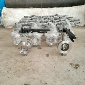 Spherical Disc Butterfly Valve with Replaceable Seal