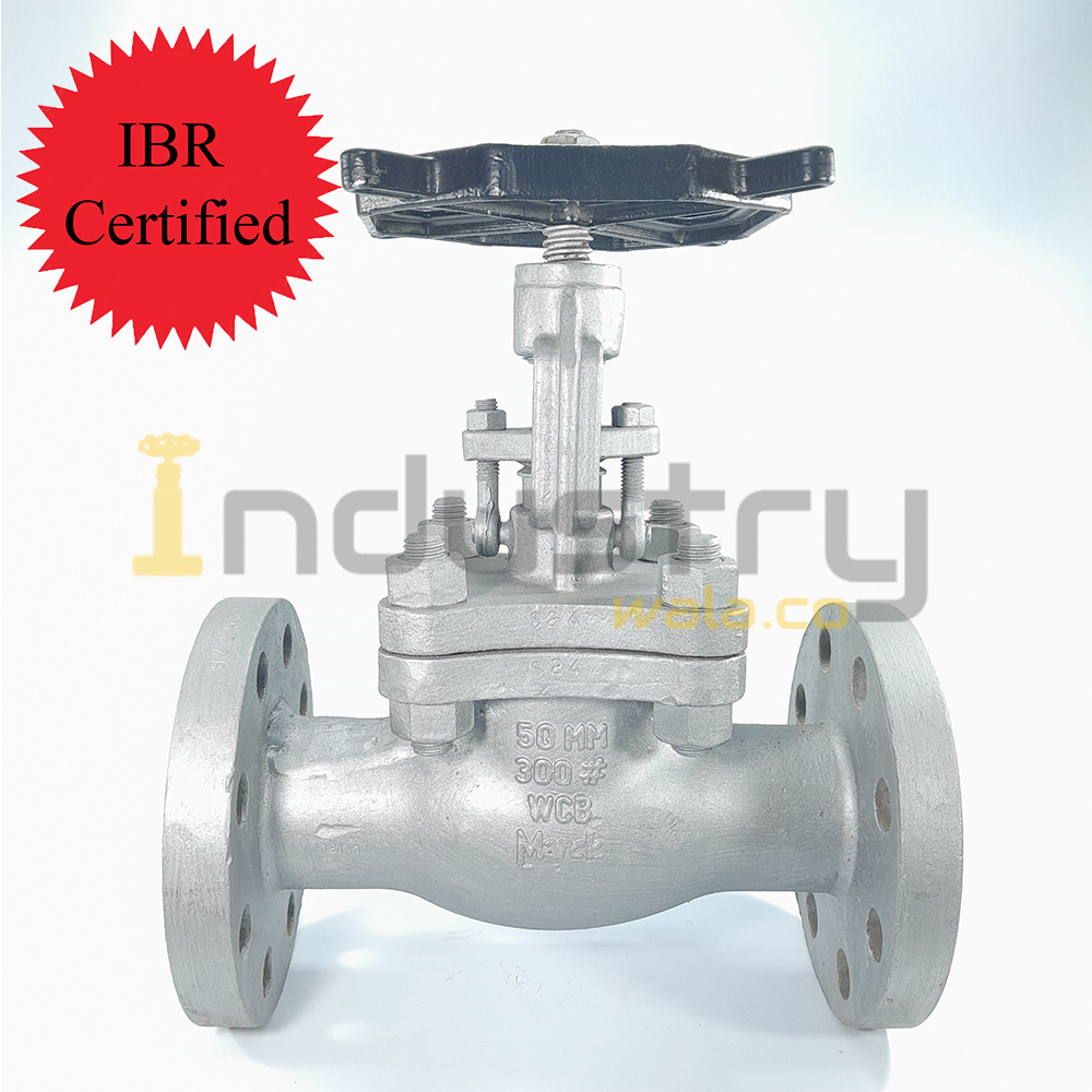 Cast Steel IBR Certified Globe Valve Class 300#