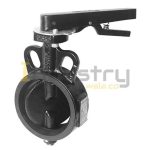 Kartar Cast Iron Butterfly Valve ISI Marked PN10 SG Iron Disc Lever Operated
