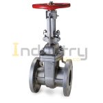 SS 304 (CF8) Gate Valve Class 300# Flange End