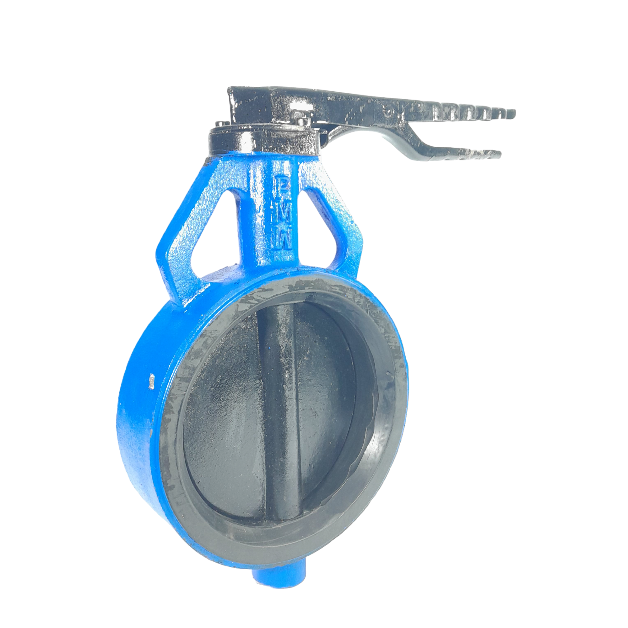 Butterfly Valve