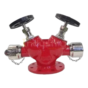 Fire Hydrant Valve Double Headed Stainless Steel Duly ISI marked