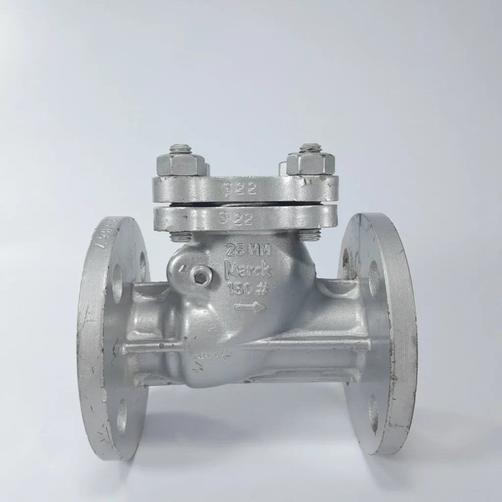 Cast Steel Check Valve Class 150
